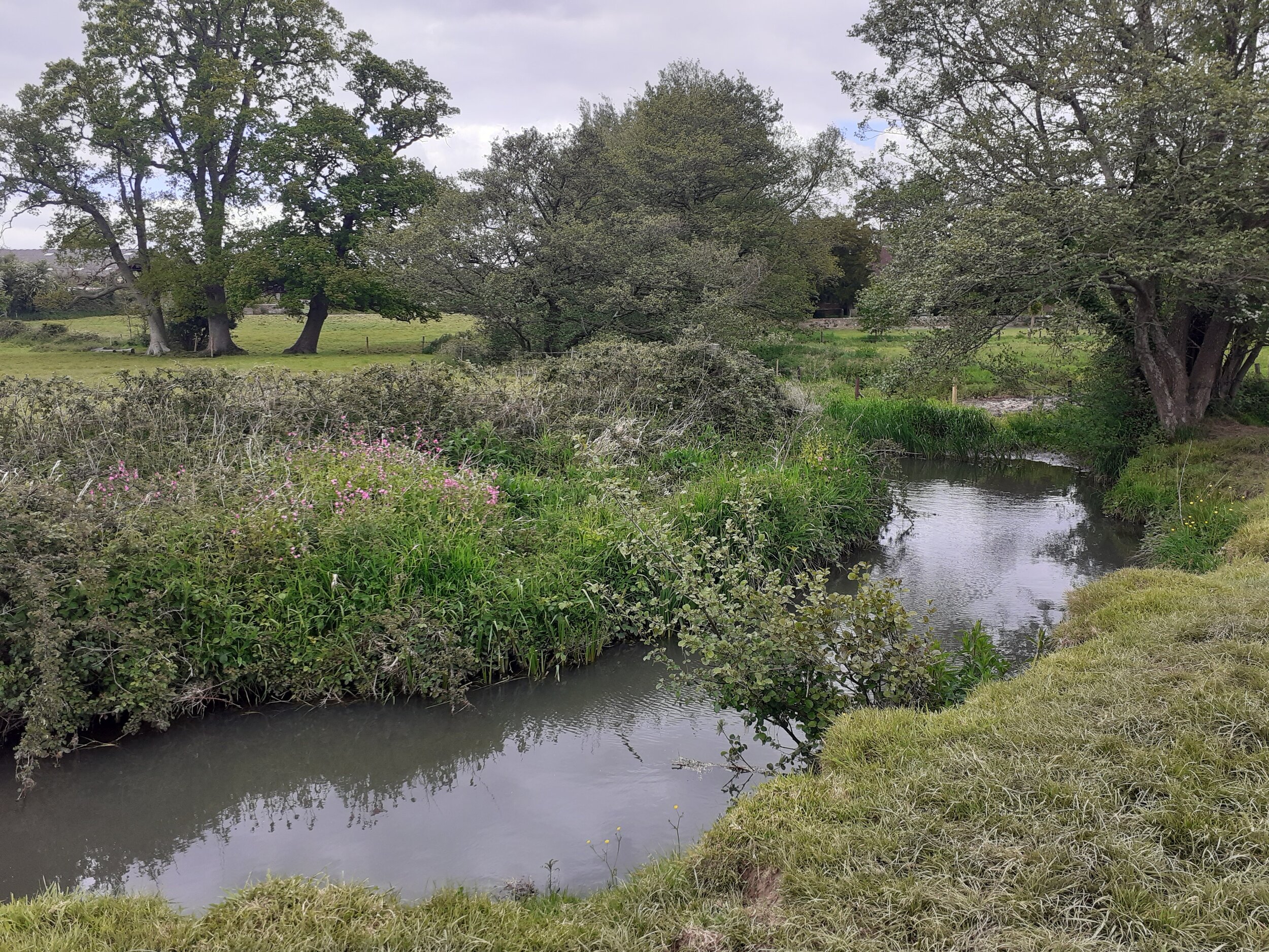 River Frome