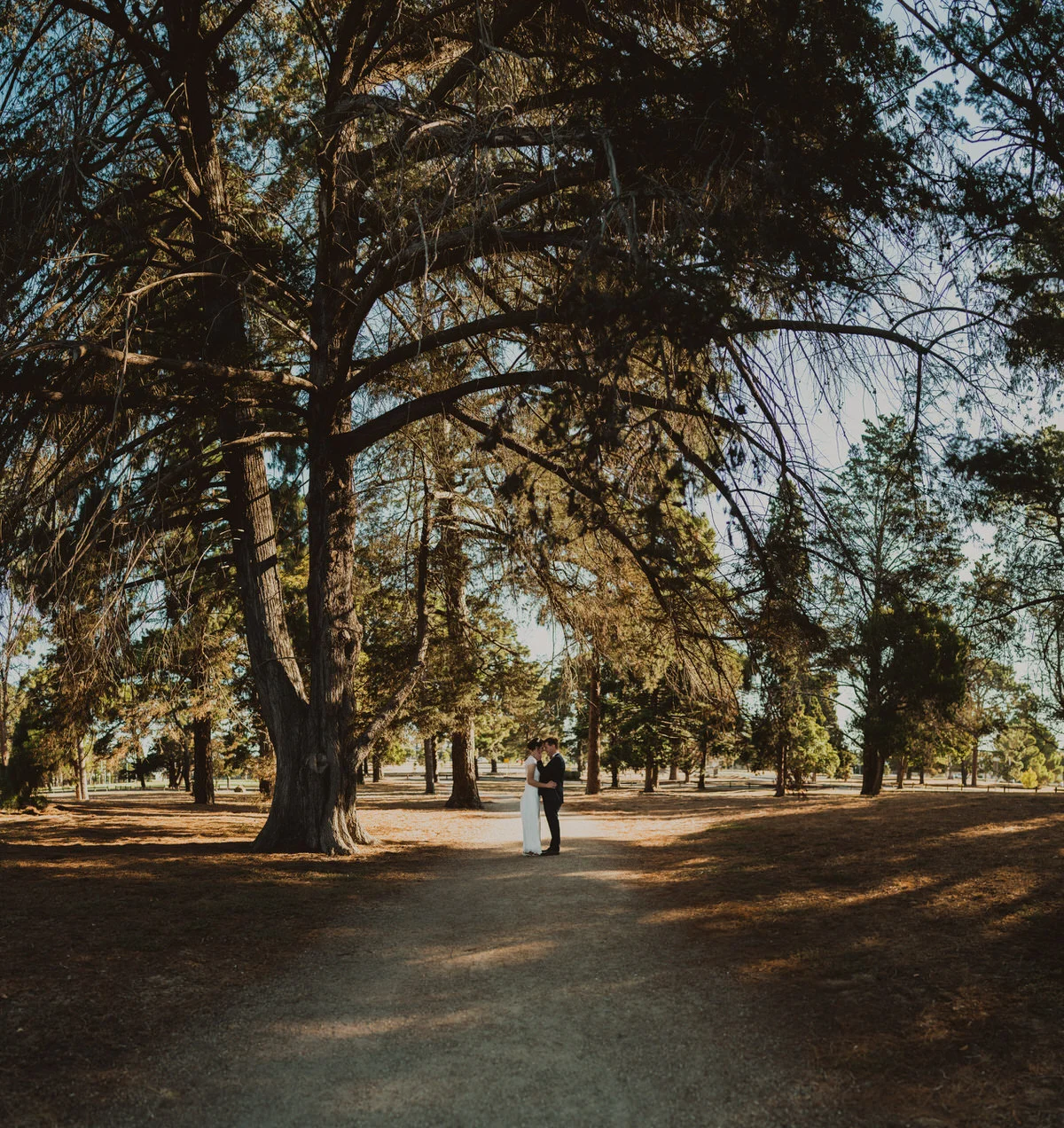 Pine & Ivory — photo 15 of 18