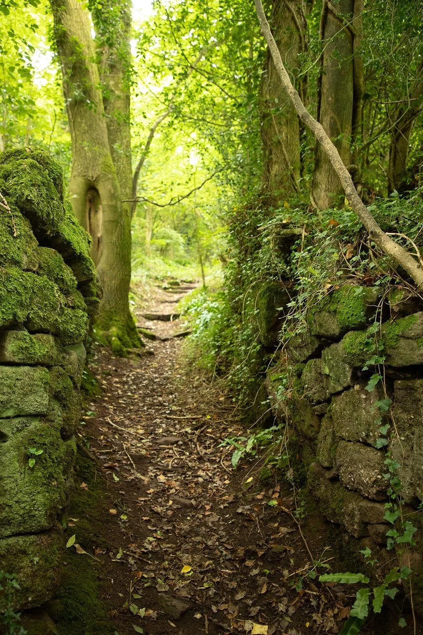 Wild Trails Wales Guide: The Amazing Long Distance Trails of Wales