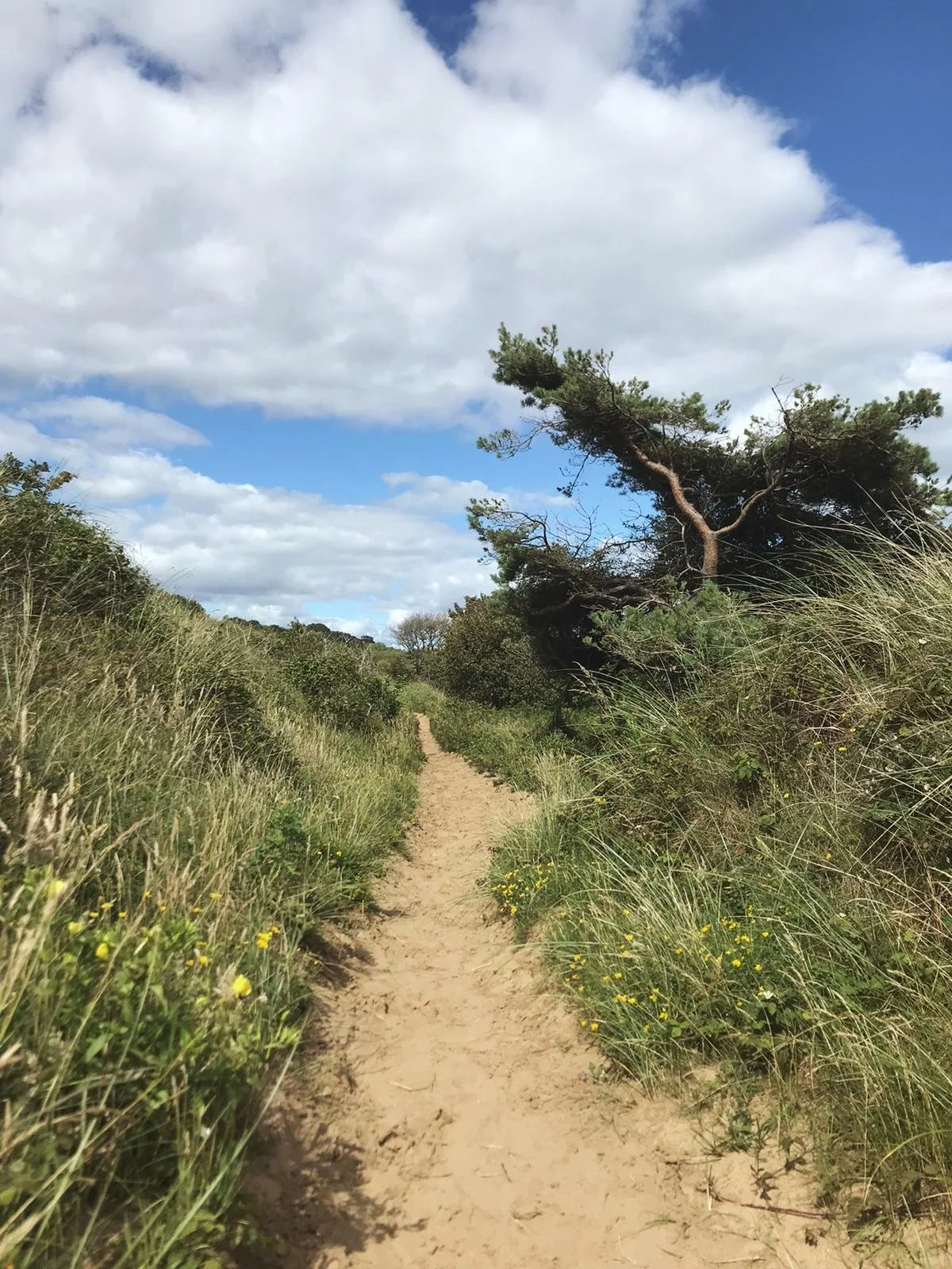 South Wales Coast Half Day Walk: Merthyr Mawr