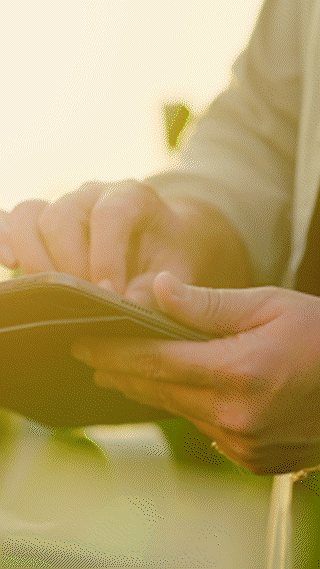 Glitch Vertical UHD _ 10.gif