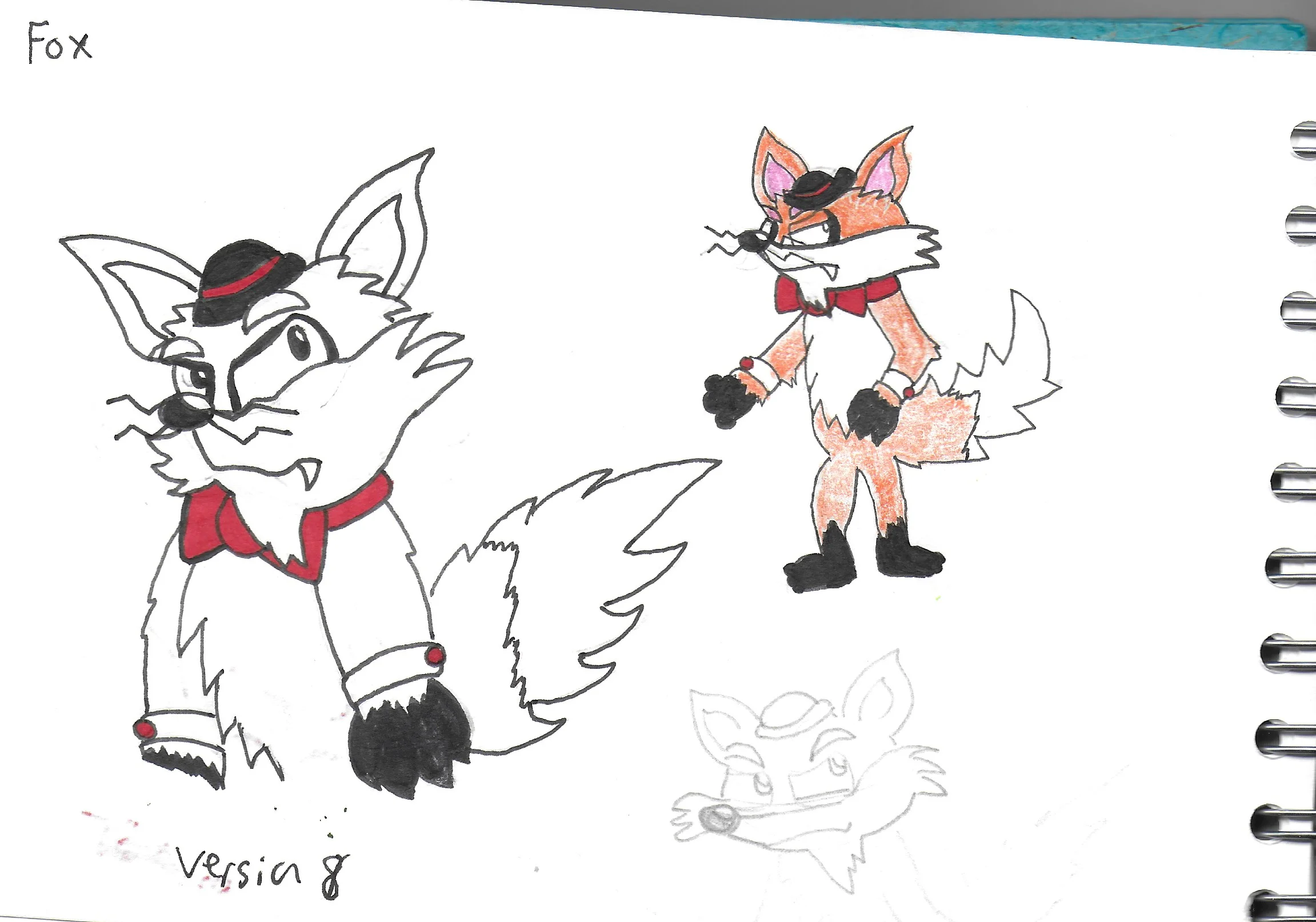 assmentanimals2 3.jpeg