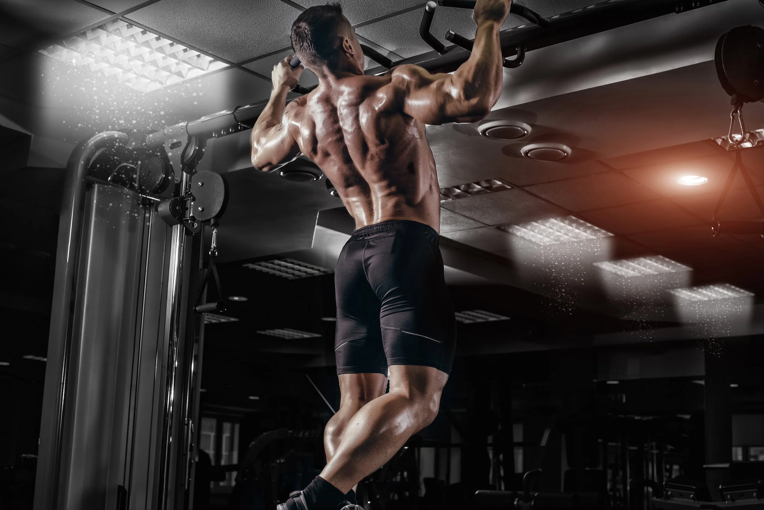 Mitch_Fitness_0120.jpg