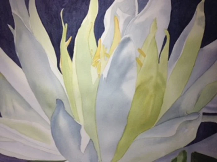 waterlily.jpg