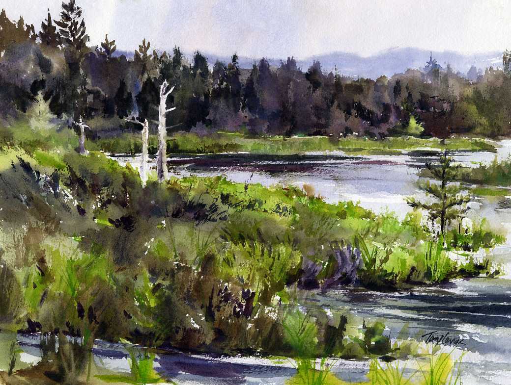 Heron Pond_72.jpg