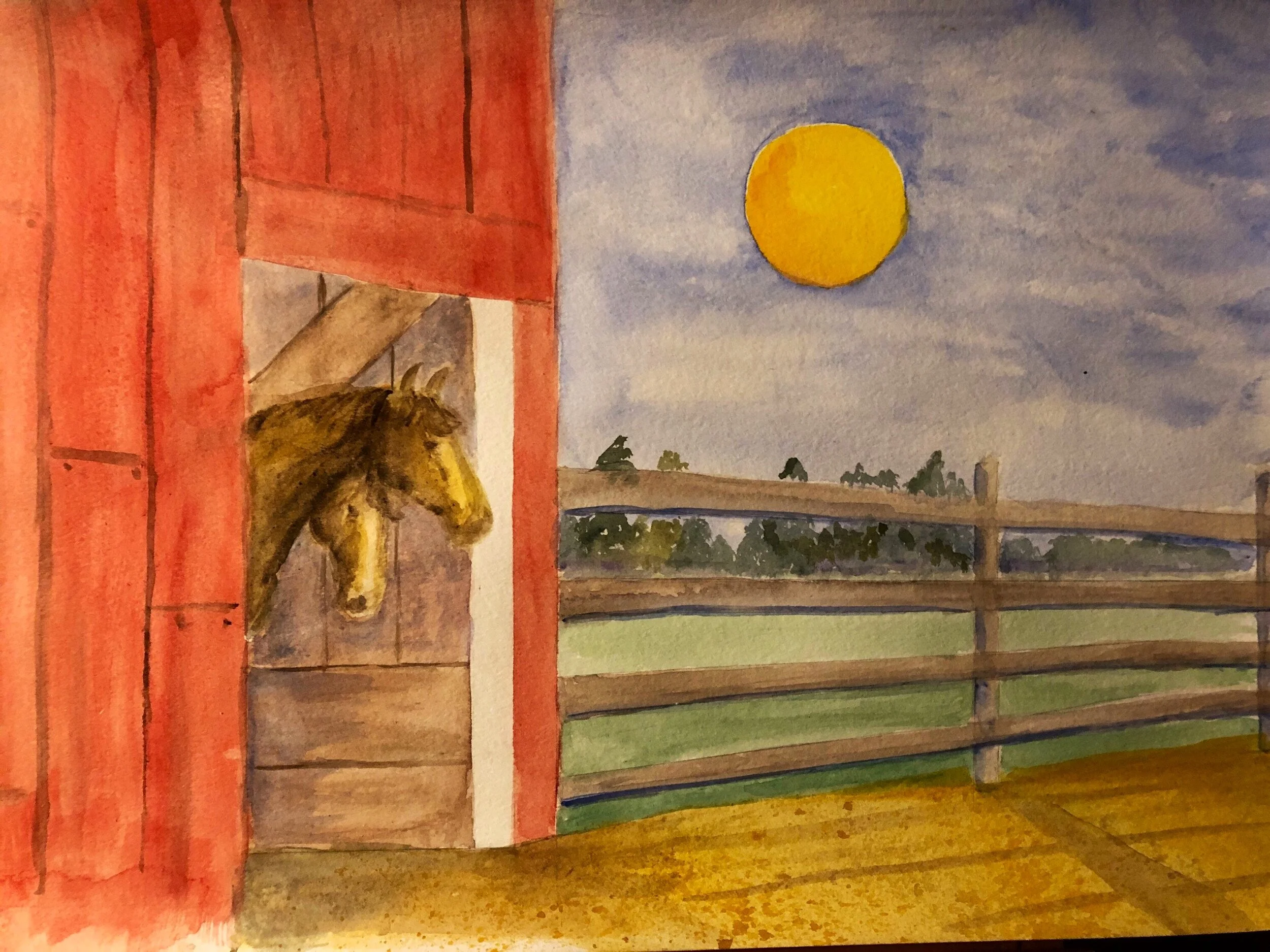 afternoon sun2.JPG