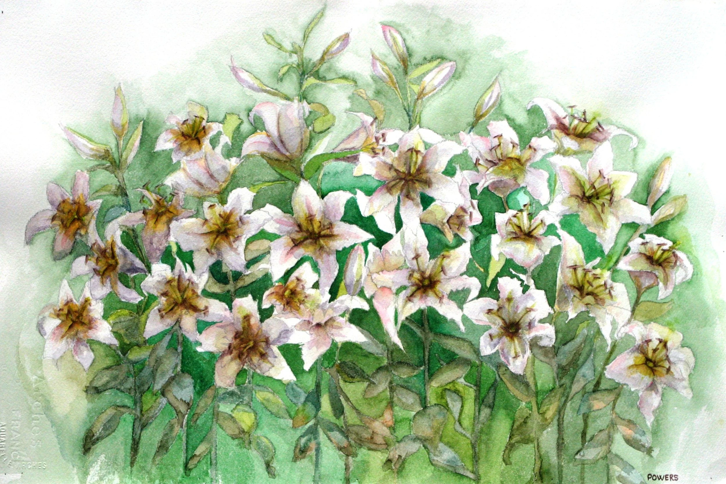 Lynn Powers, Artist Member