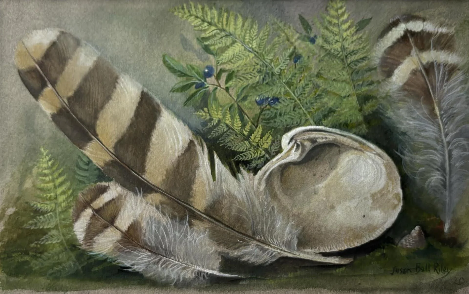 Susan Bull Riley