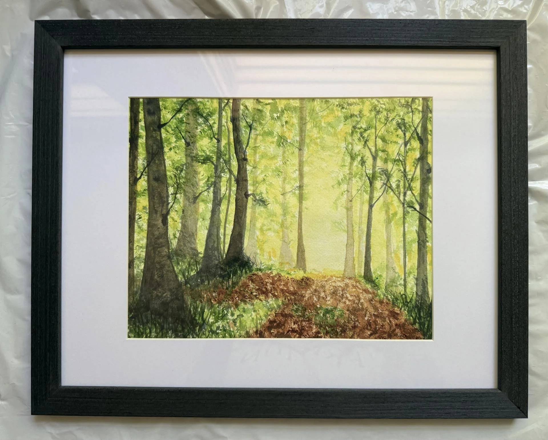 Nancy Chapman, Canopy Glow