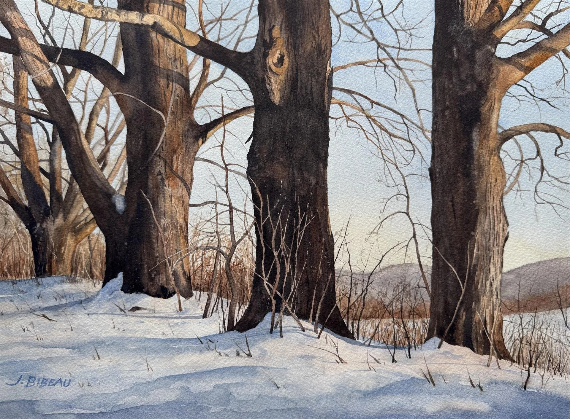 Joey Bibeau, December Sun