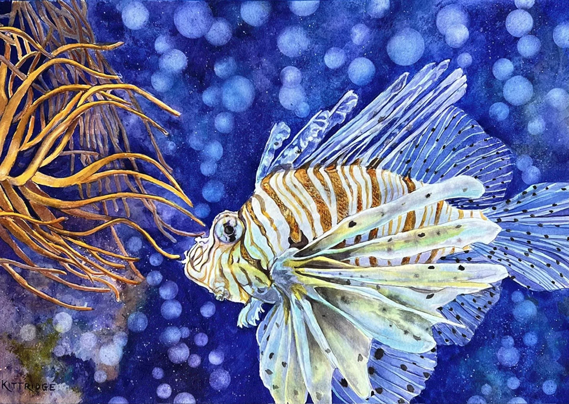 Nancy Kittridge, The Linefish