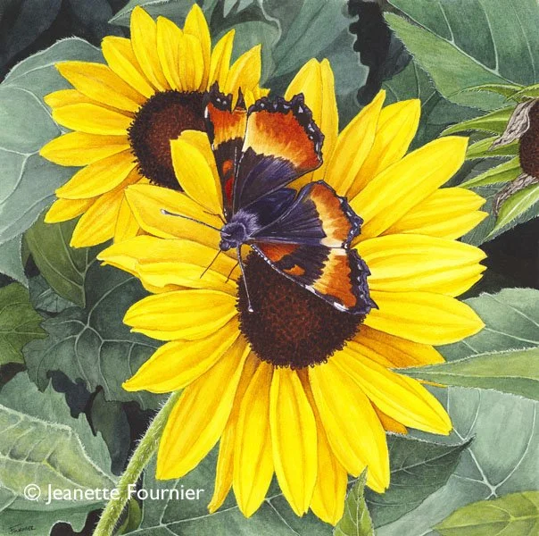 Image#1_The Butterfly Effect_J_Fournier.jpg