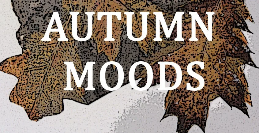 Vermont Watercolor Society's 2024 Fall Awards Show: Autumn Moods