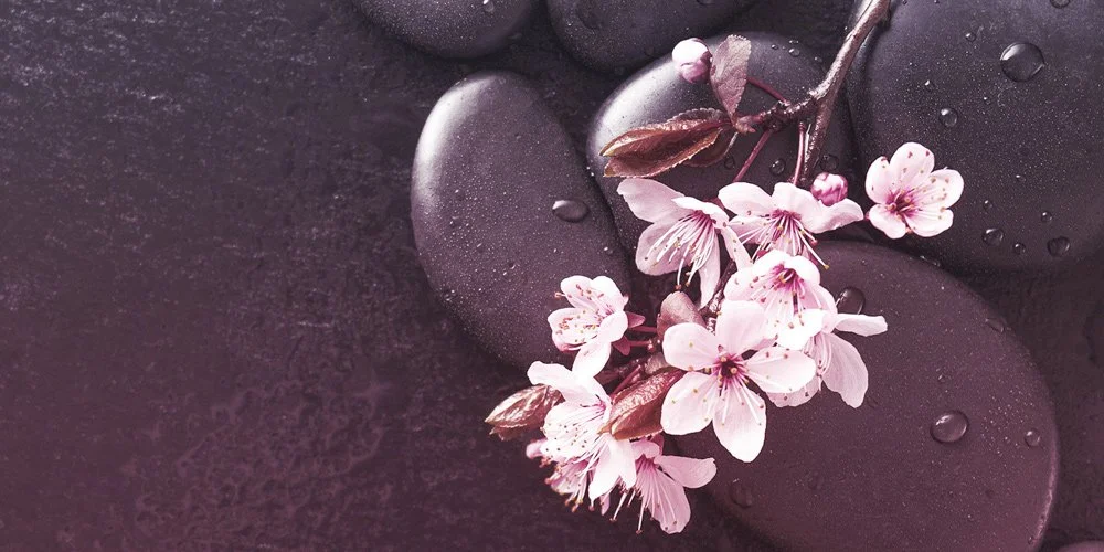 Acupuncture for PCOS — Ume Acupuncture