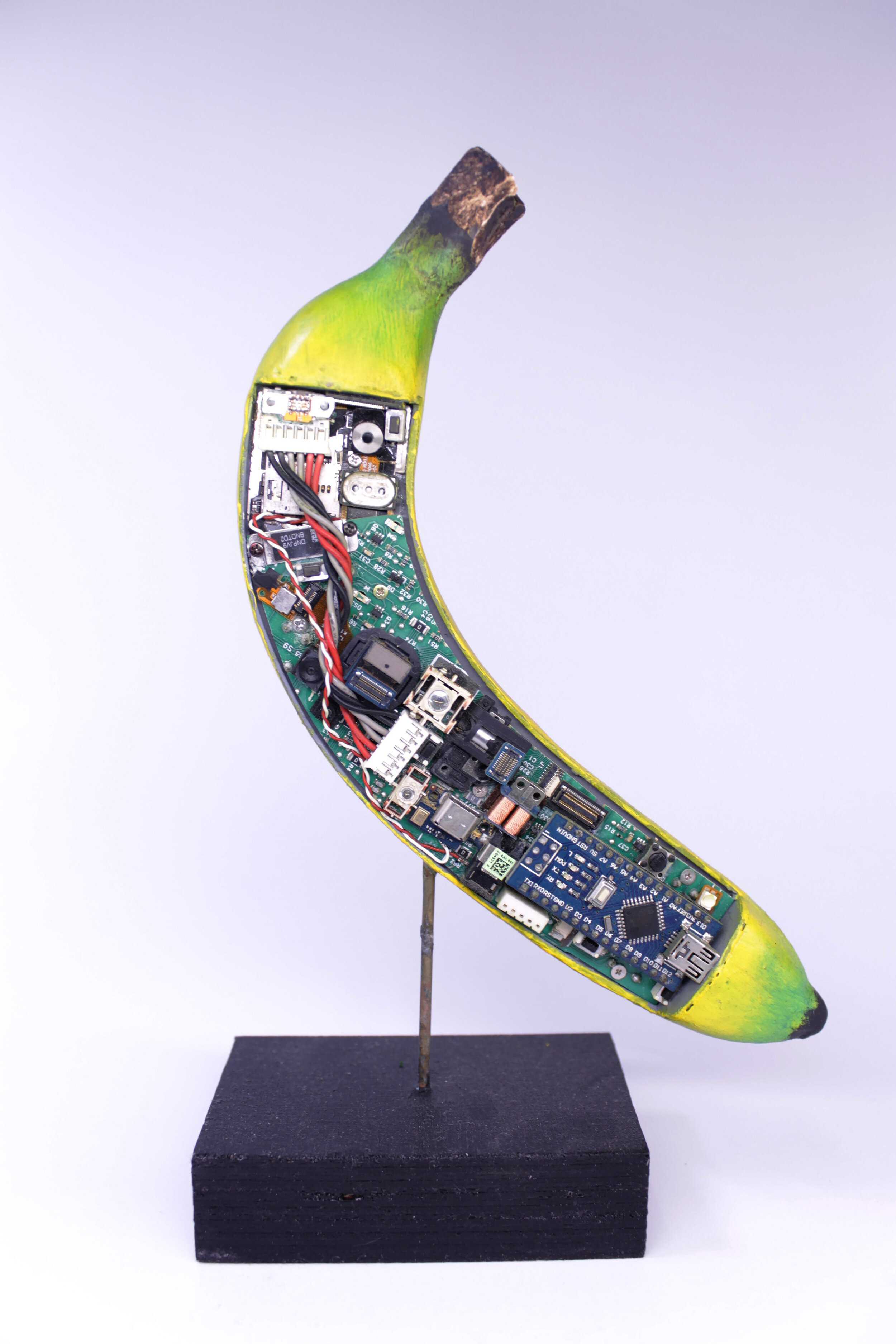 The Electric Banana