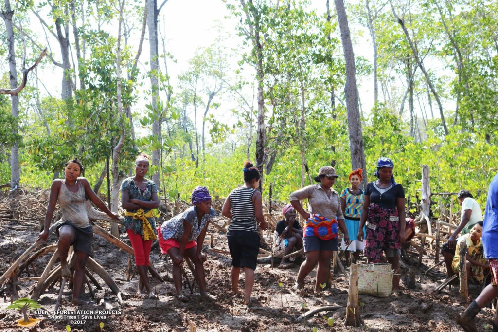 Femmes en Mahabana - planter des arbres