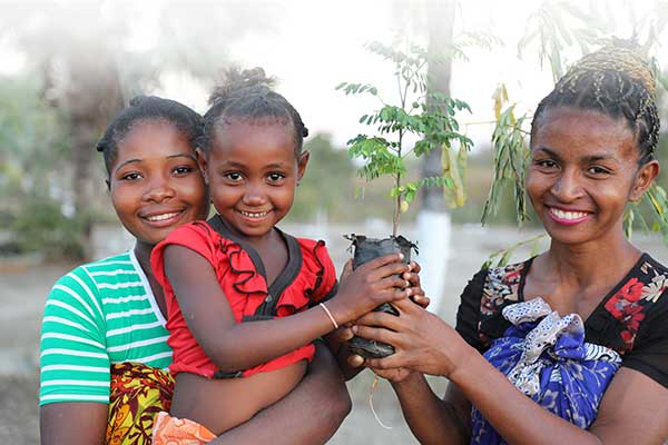 arbreMadagascar : l'espoir