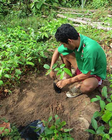 Plantation-reforestation-Colombie