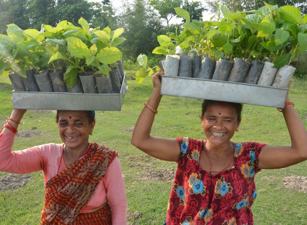 women-carrying-seedlings-Nepal-2016-e1503601992704-1024x750.jpeg