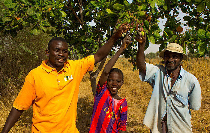 omar-left-and-ousmane-right-holding-cashews-groing-on-tree.jpg