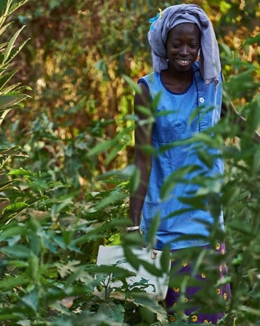 Reboisement au Sénégal - action pour le climat