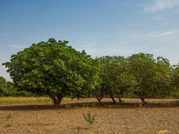 en mission pour un climat sûr