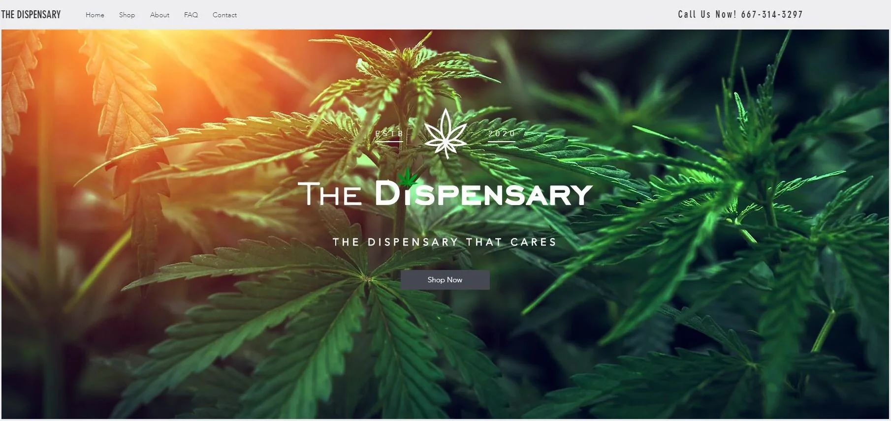 New Client Spotlight 