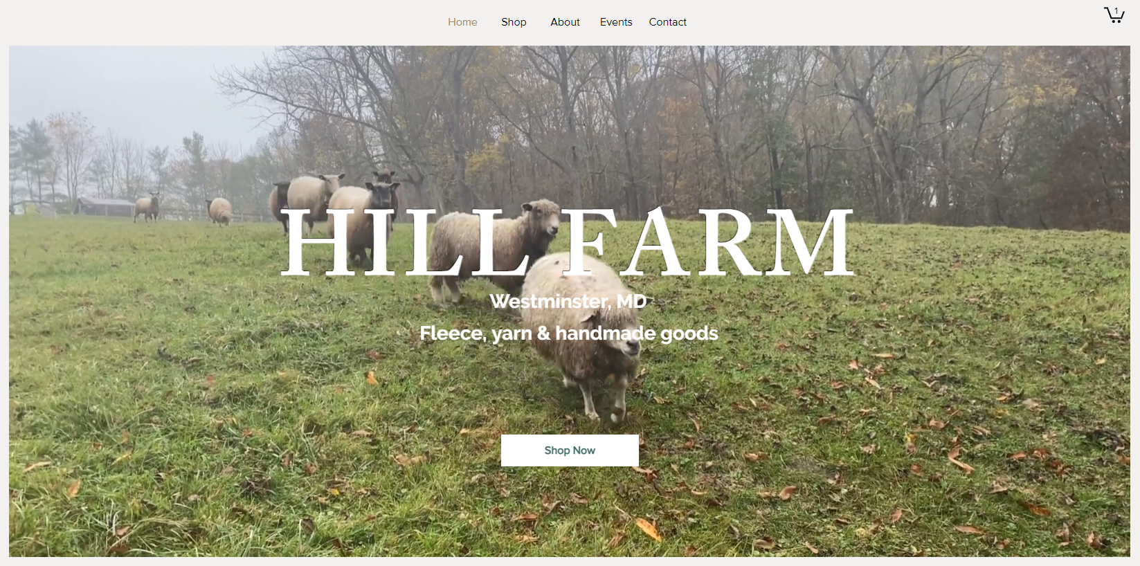 Hill Farm Website Design