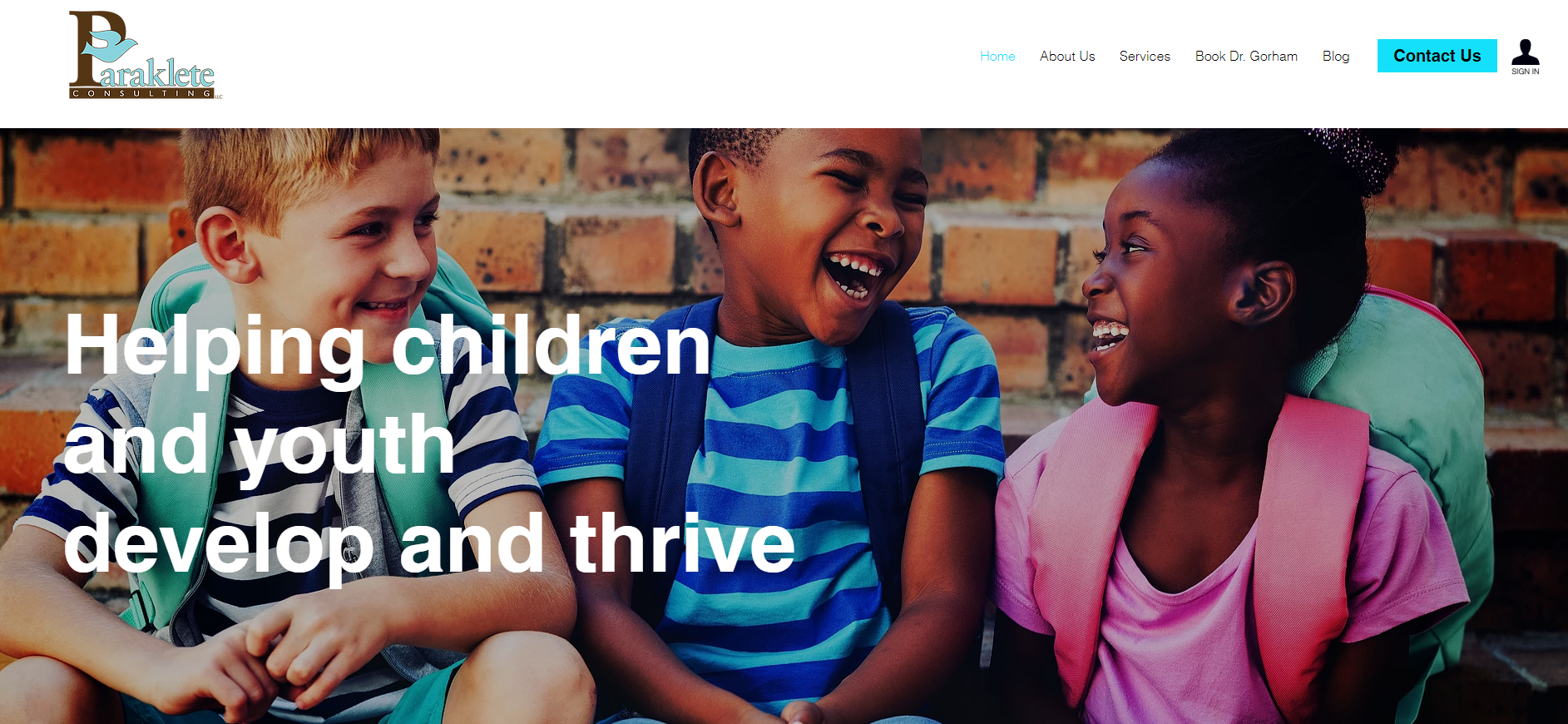 Website Design Client Spotlight: Paraklete Consulting