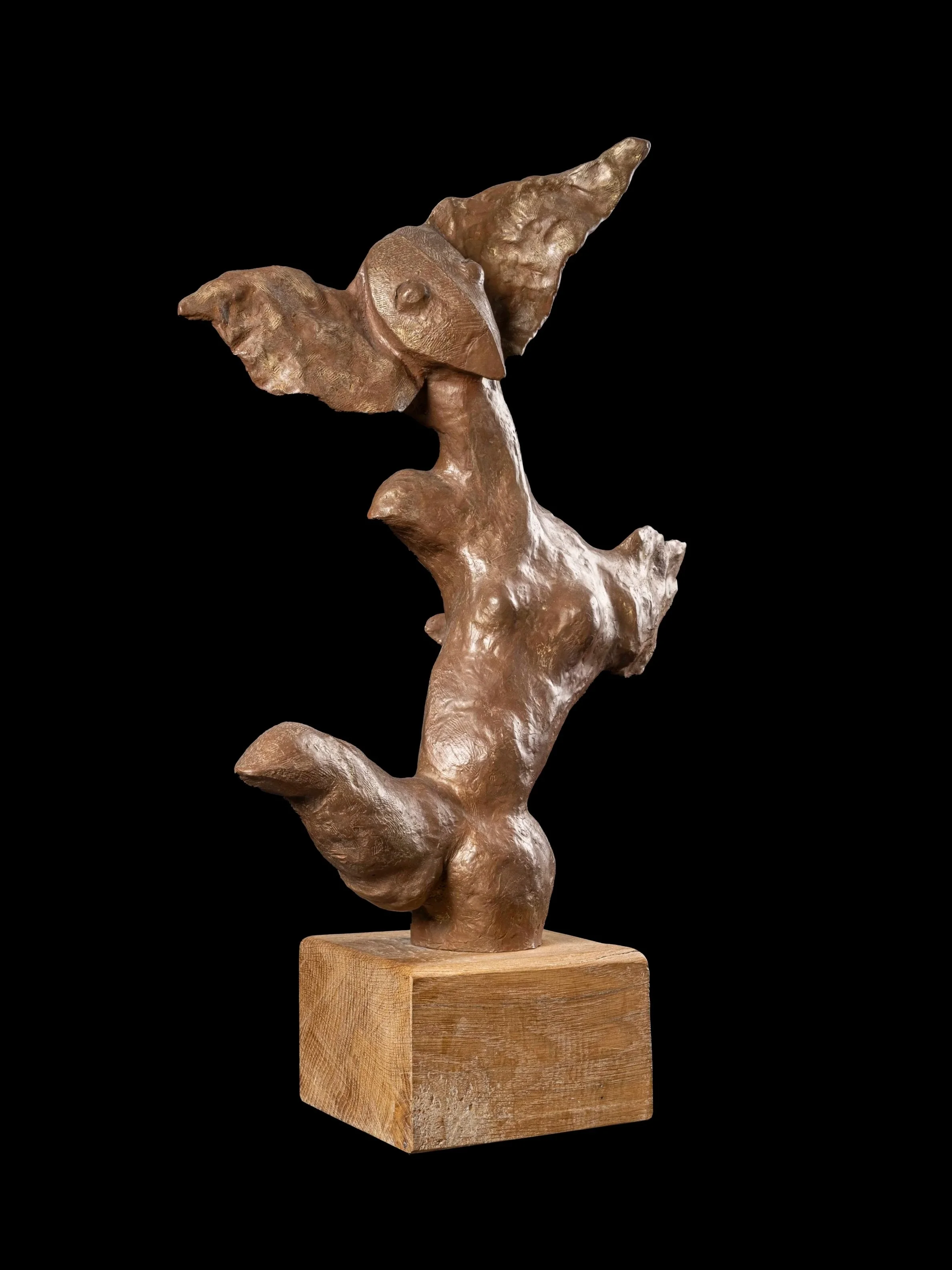 Julie, terre cuite, 2010, 45x37x17cm