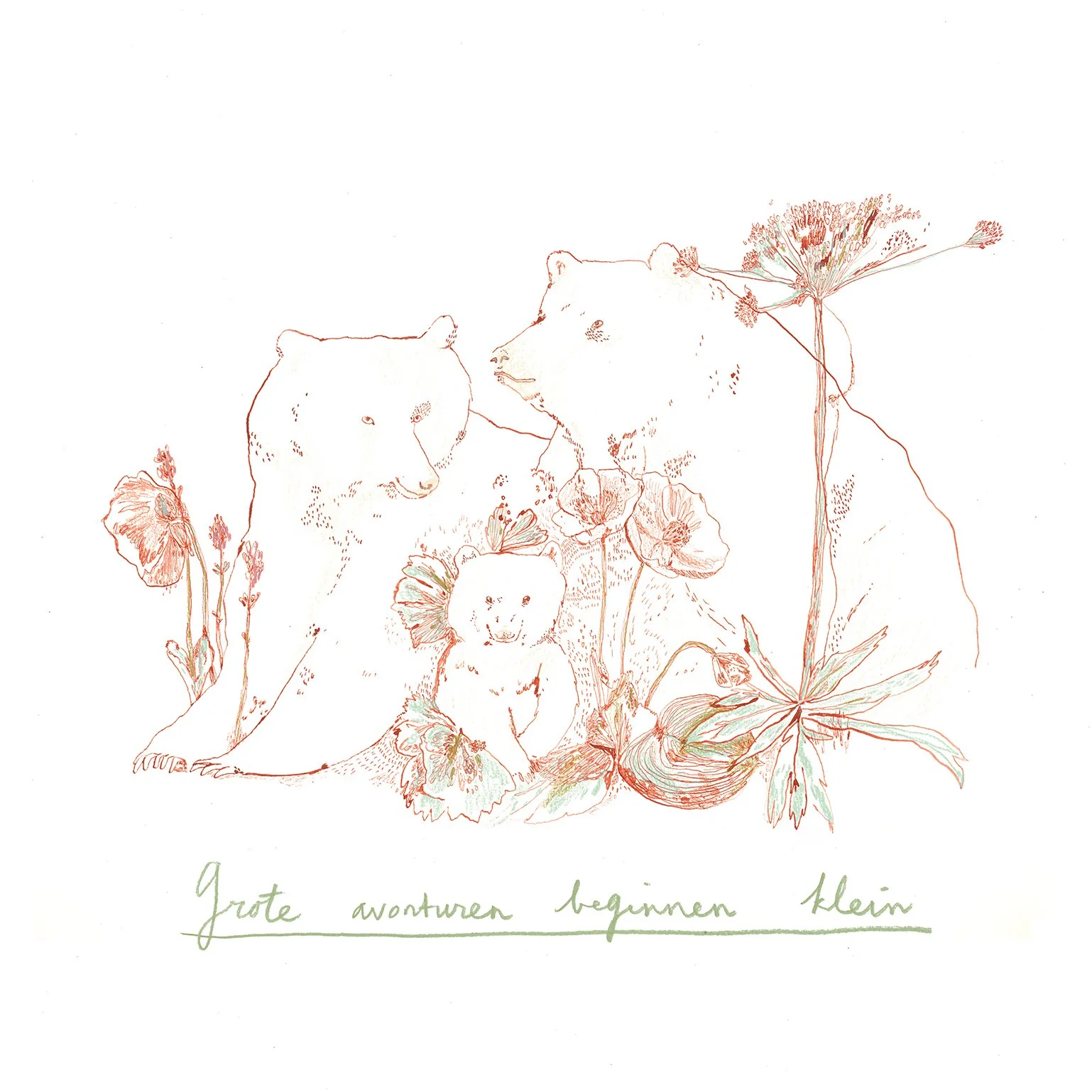 geboortekaartje web.jpg