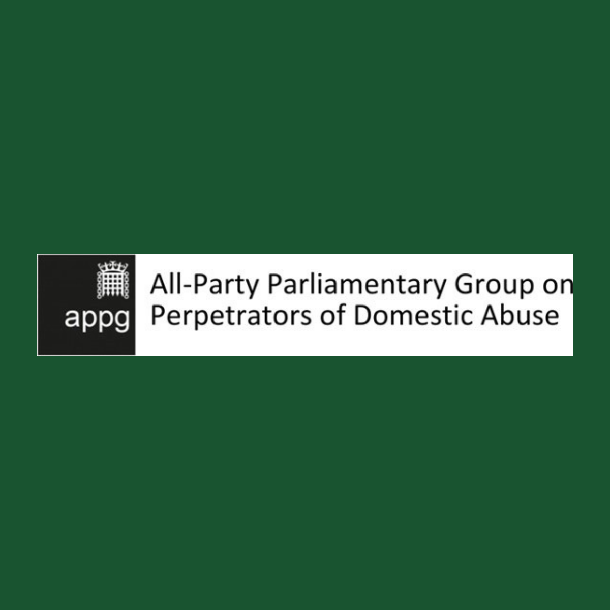Make a Change highlighted at All-Party Parliamentary Group on Perpetrators of Domestic Abuse 