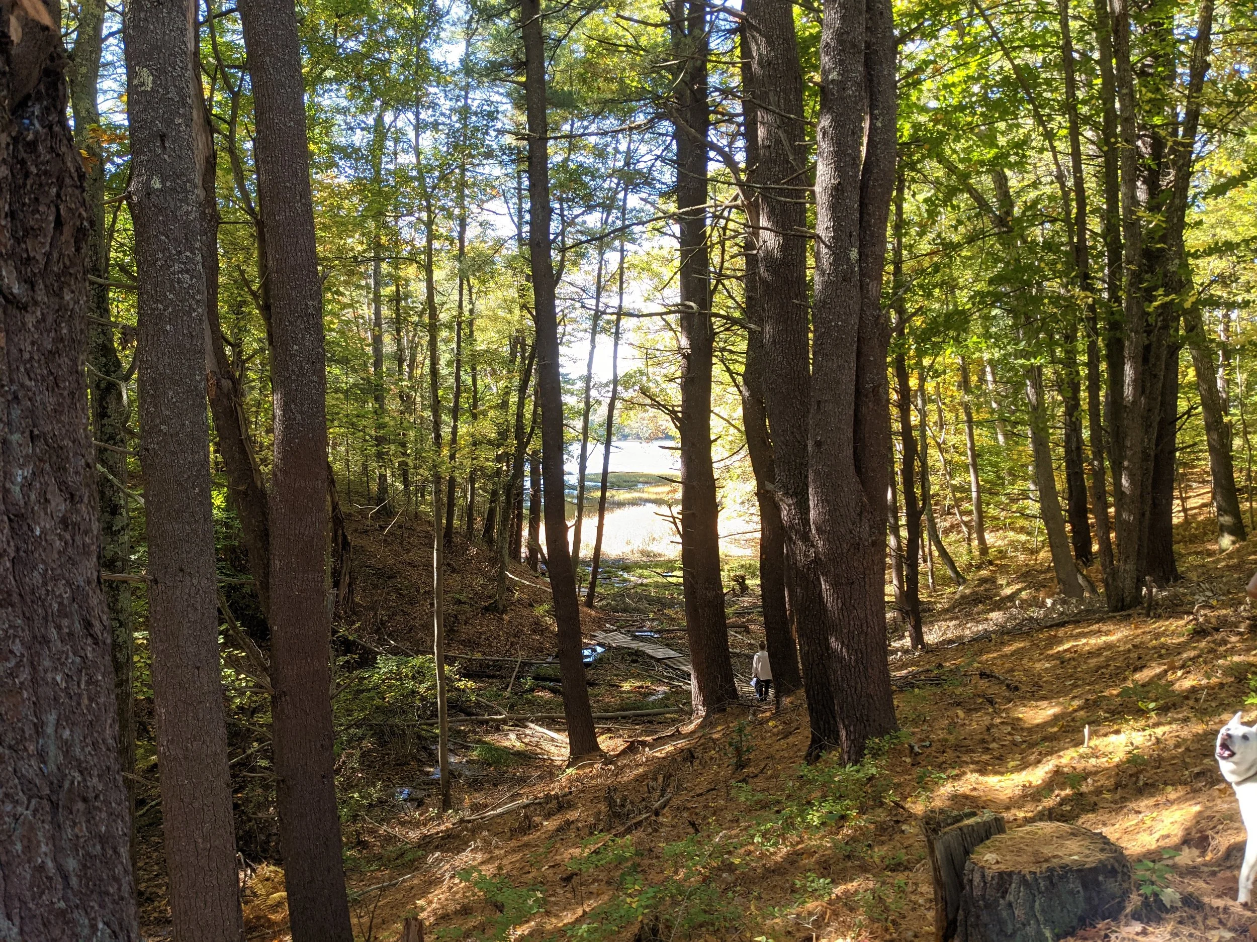 Lunch + Learn: Connecting Communities Through Trails