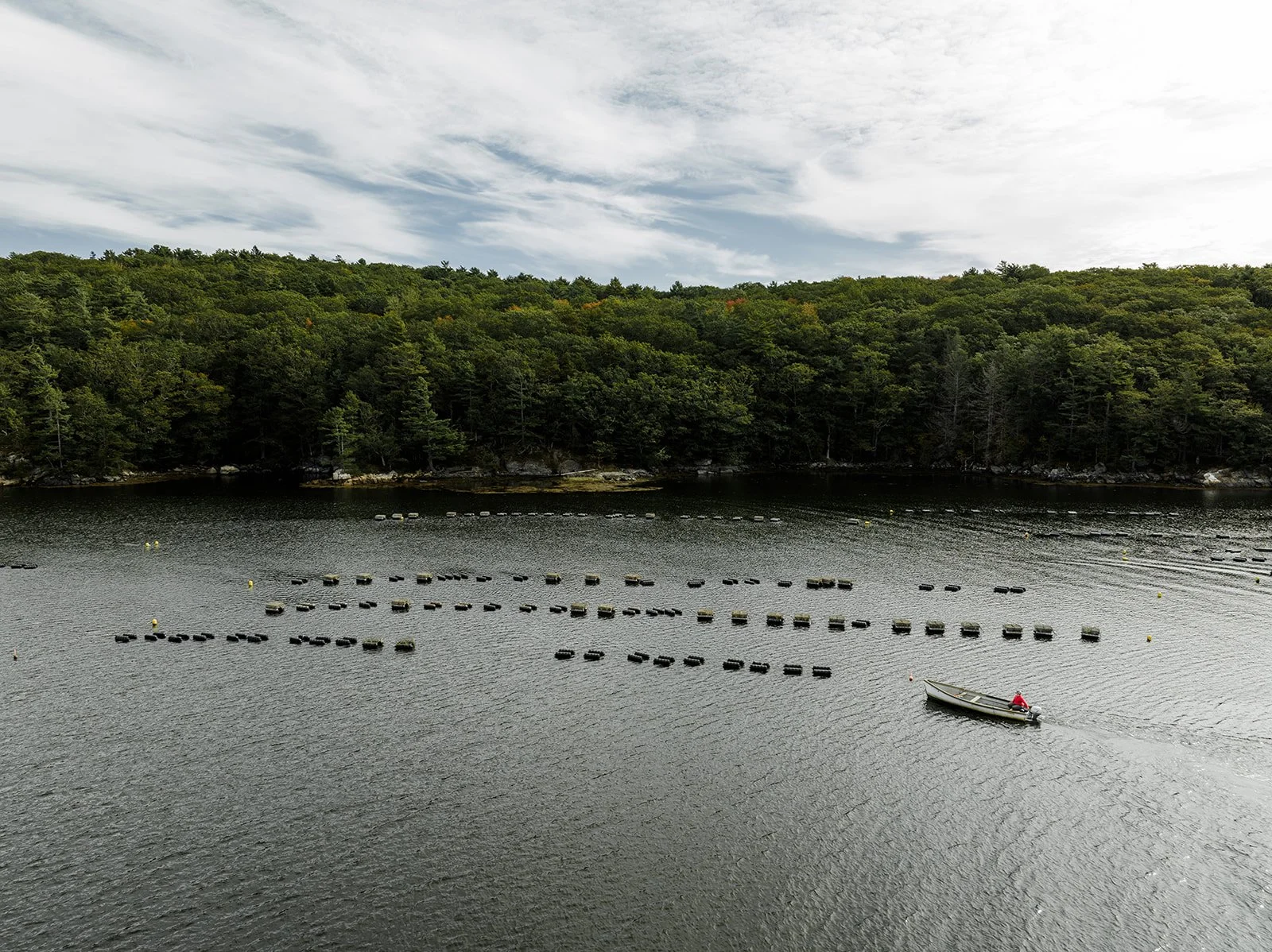 Union + Co Presents: Short Film Series