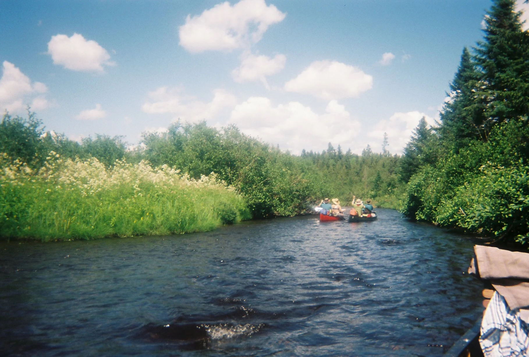 LUNCH + LEARN: Eco-Tourism in the Midcoast: Building a Sustainable Visitor Economy