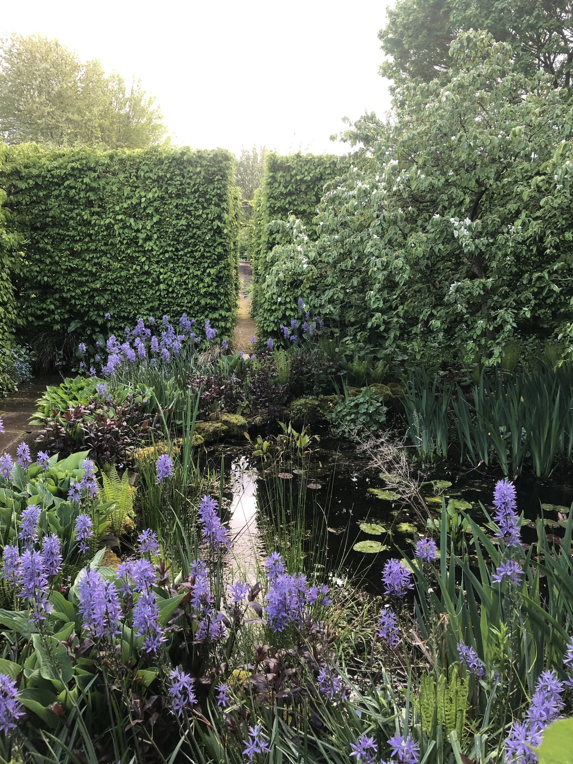 May 2019 Monty Don