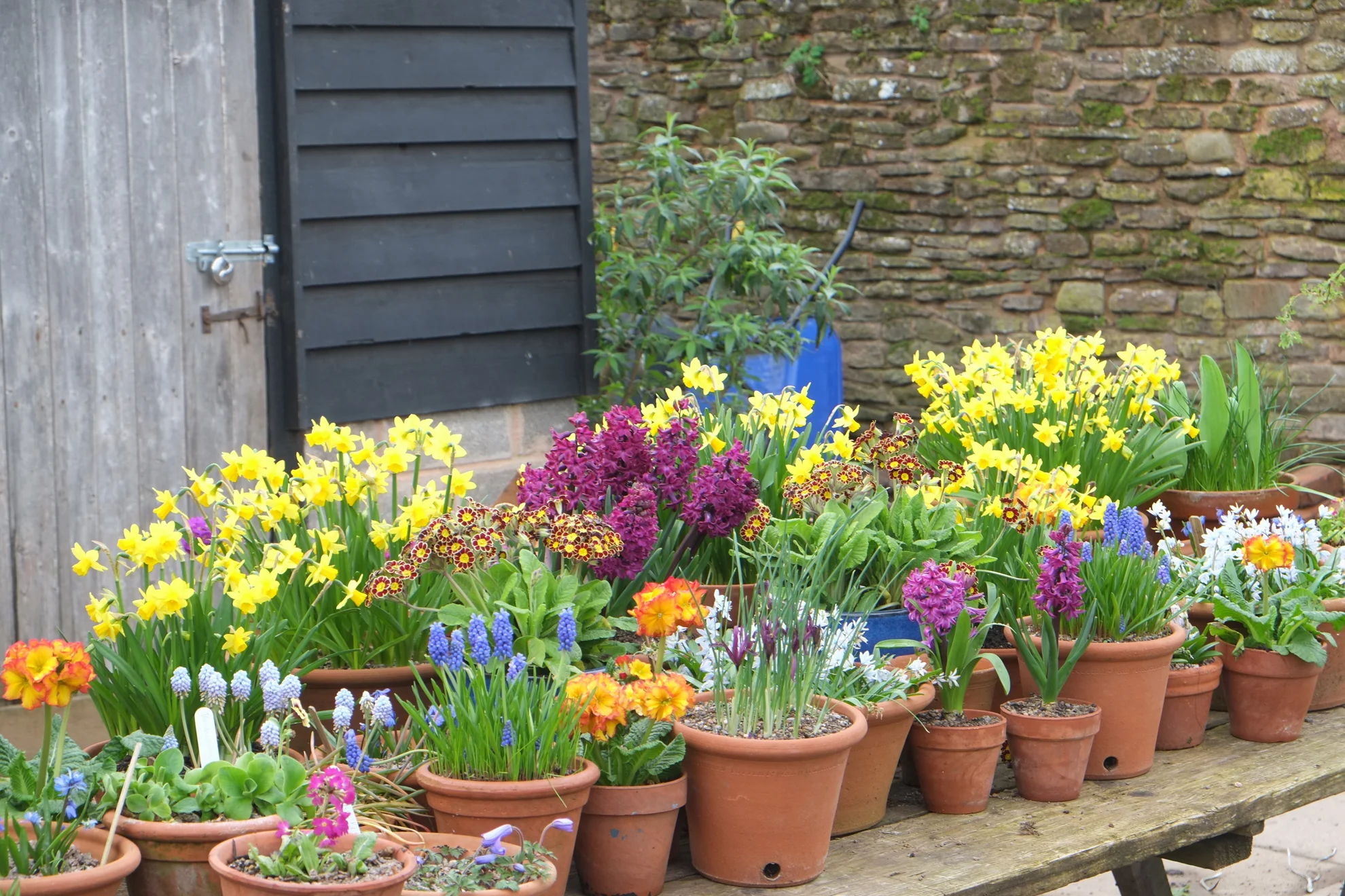 March 2019 Monty Don