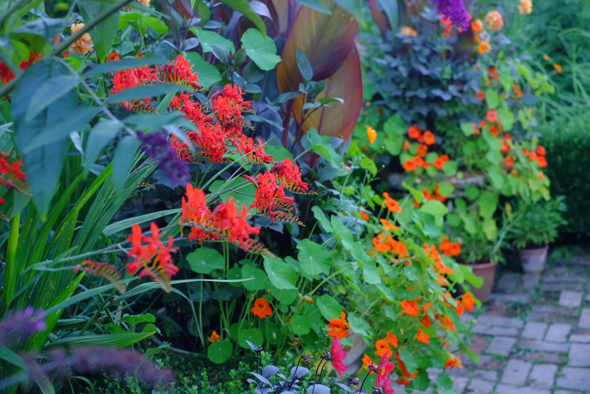 DSCF1313.JPG