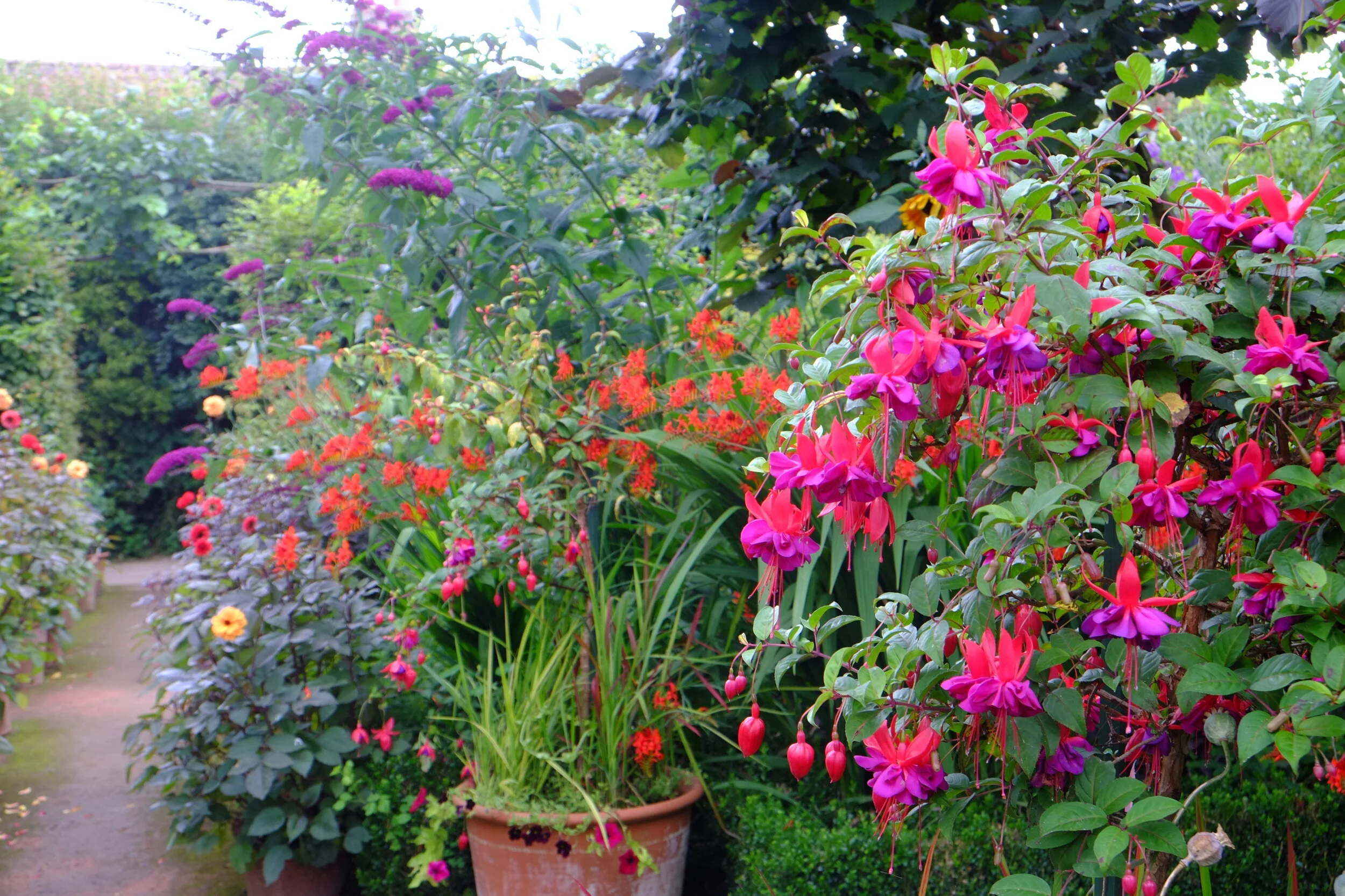 DSCF3696.JPG