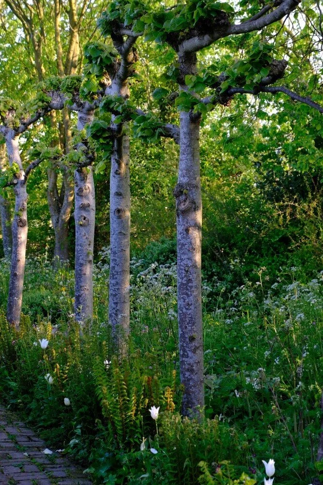 May 2020 Monty Don