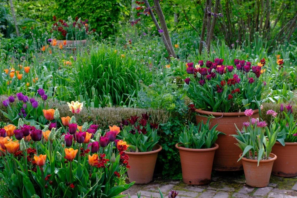 May 2020 Monty Don