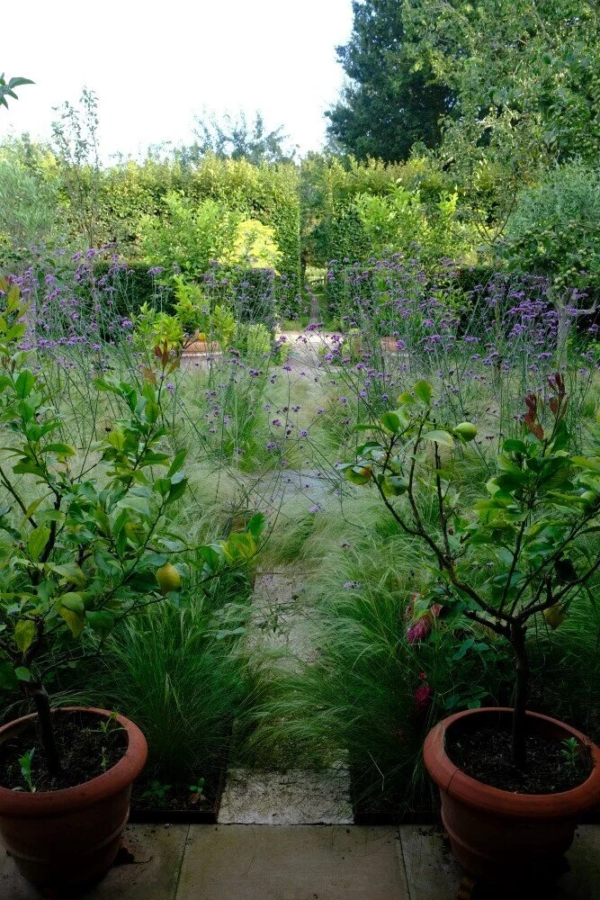 August 2020 Monty Don