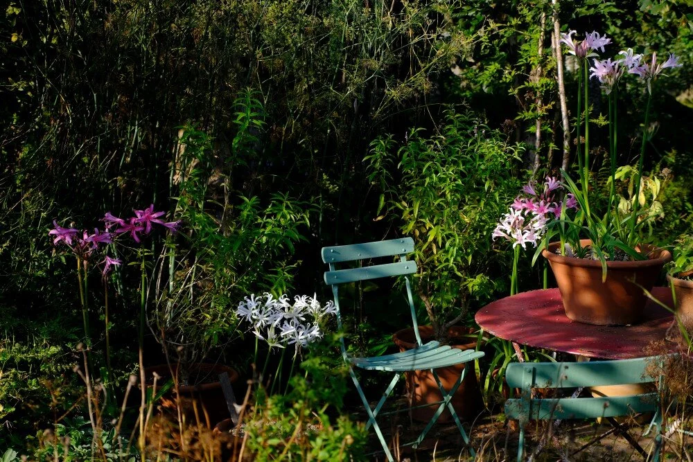 October 2020 Monty Don