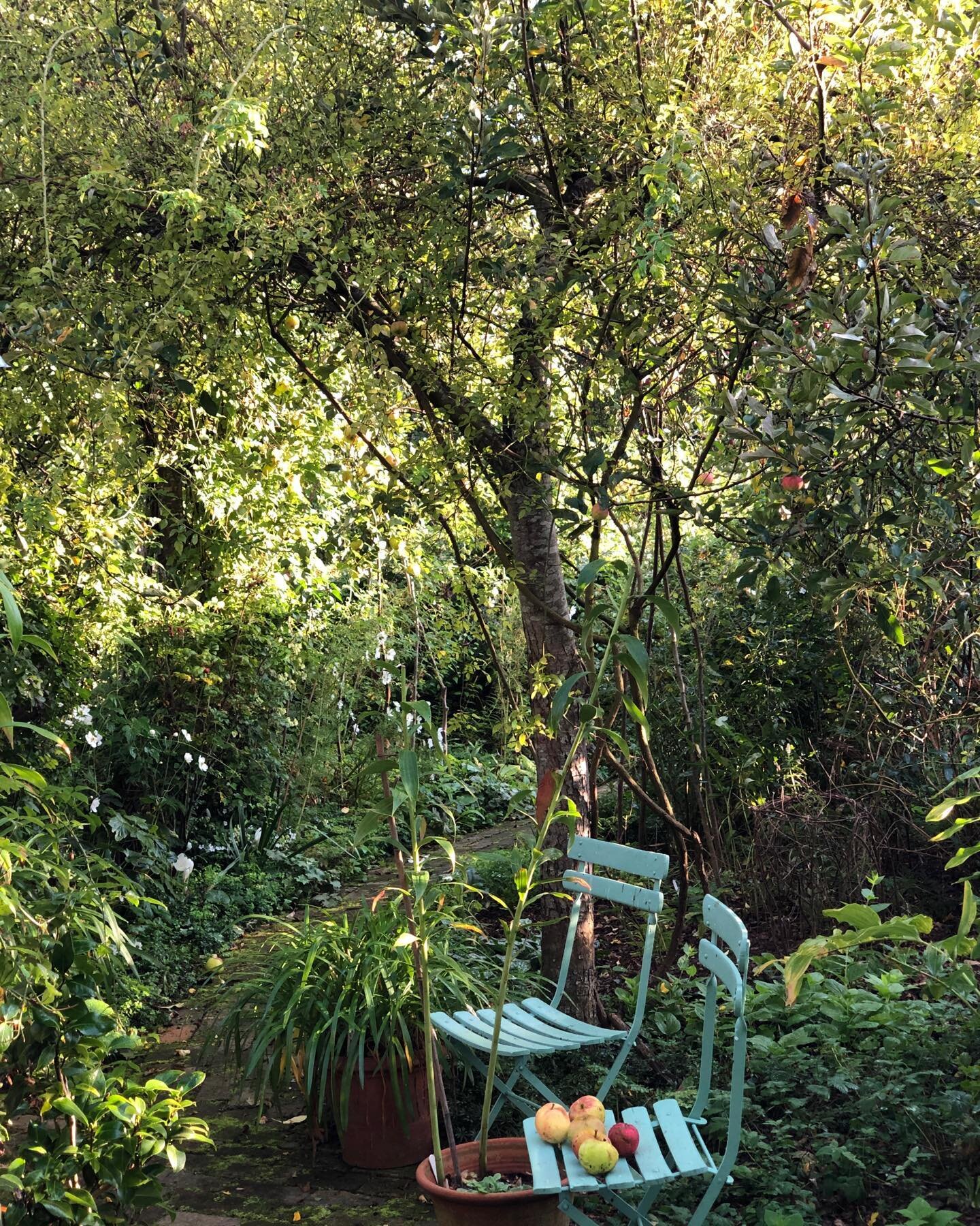 The Writing Garden- elegantly fading.