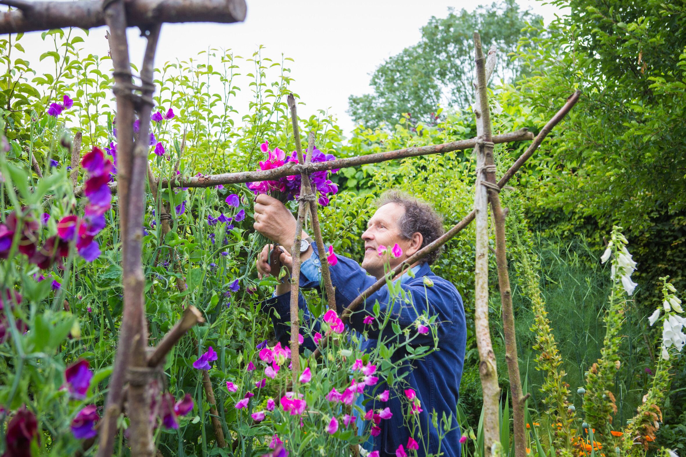 July_CottageGarden_CuttingSweetPeas.jpg