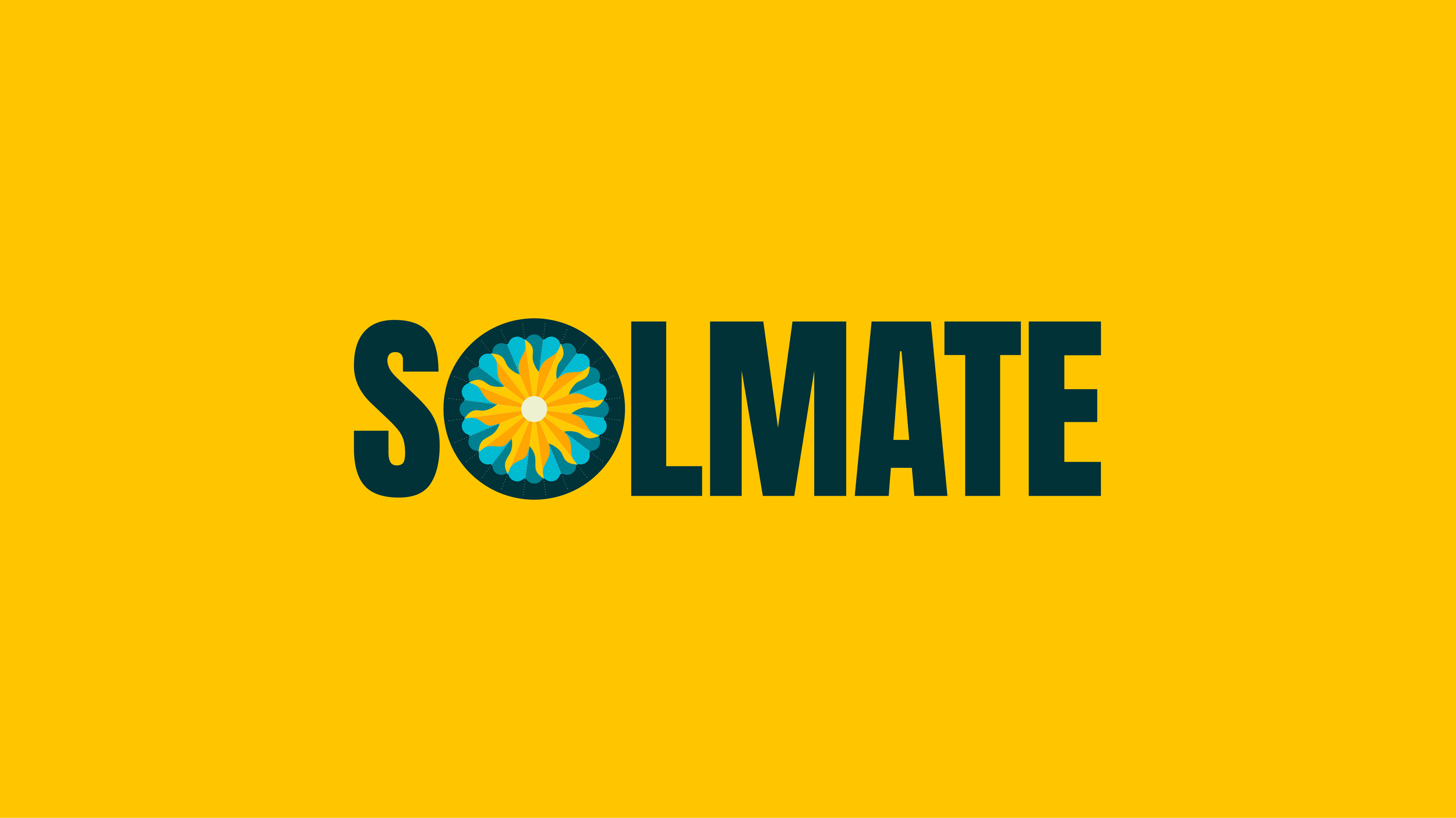SOLMATE_CASE STUDY-01.png