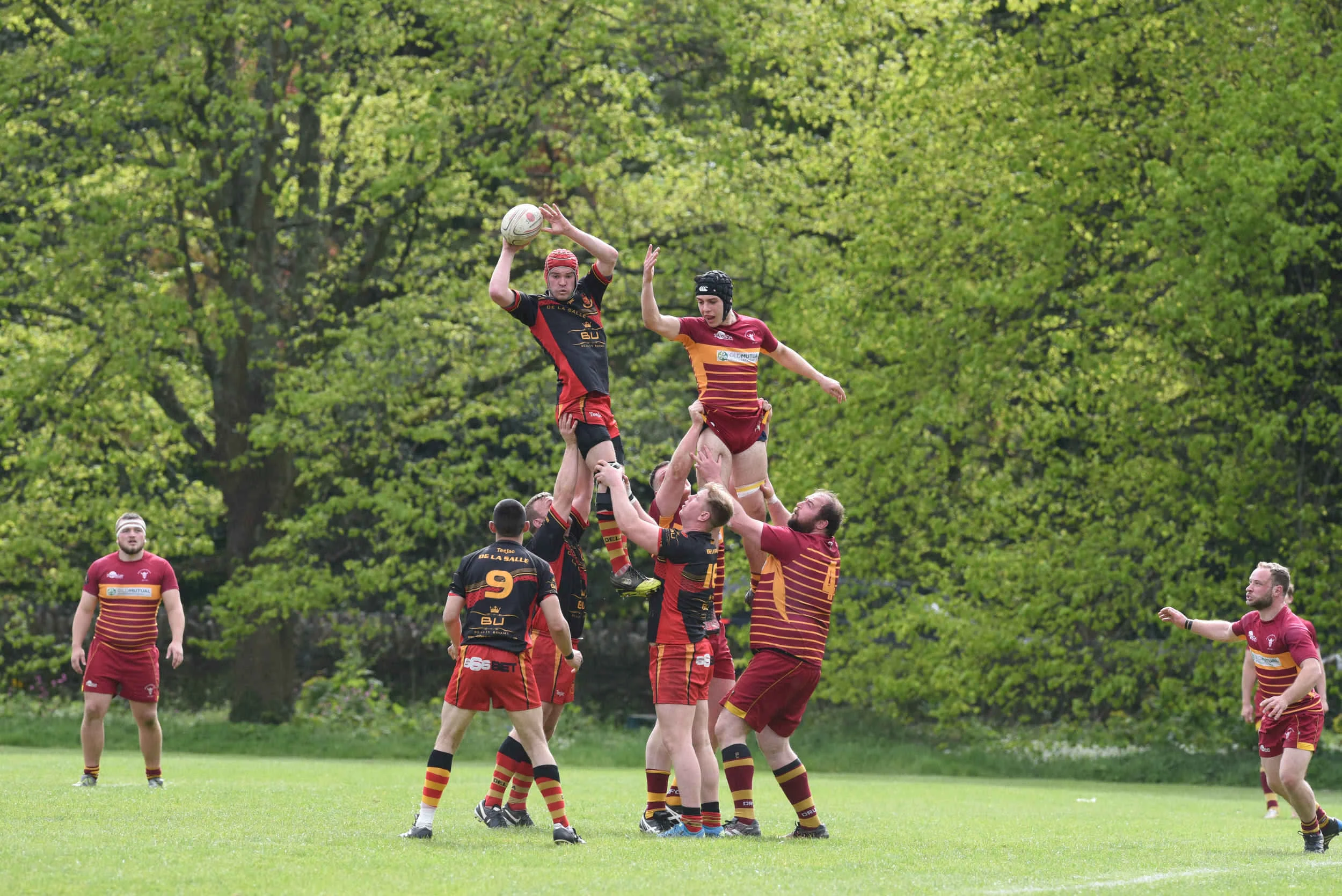 2017 in pictures — Dave Kneale