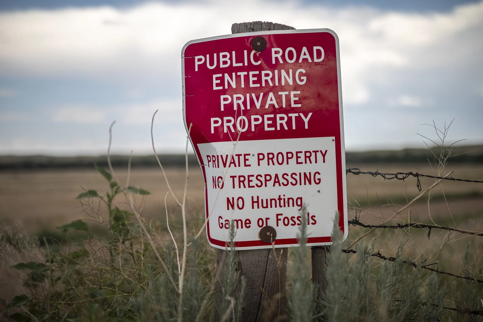 Dinoland, Dieuwertje Bravenboer-2.jpg