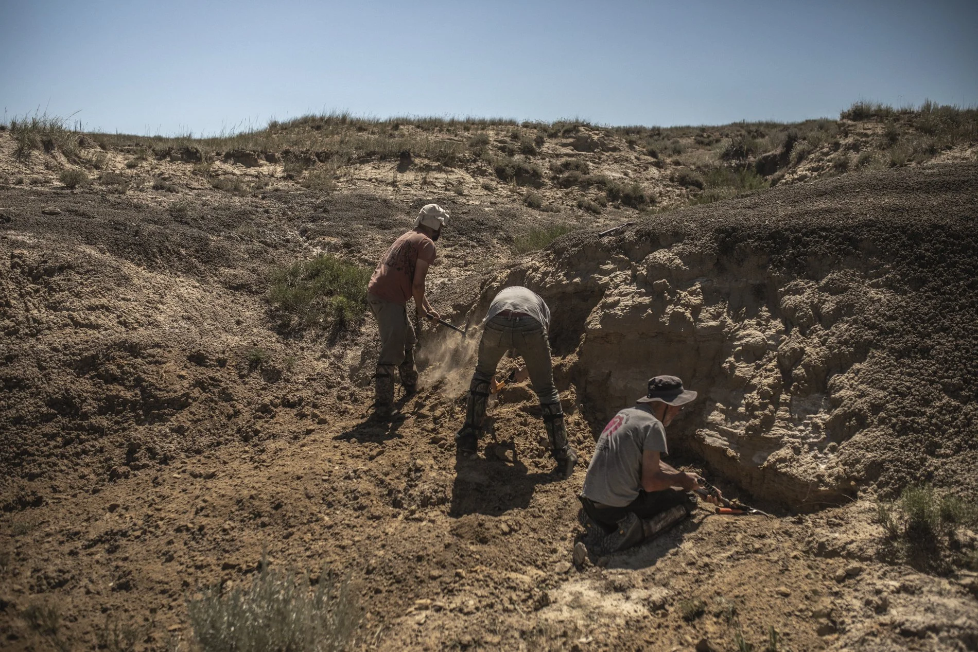 Dinoland, Dieuwertje Bravenboer-3.jpg