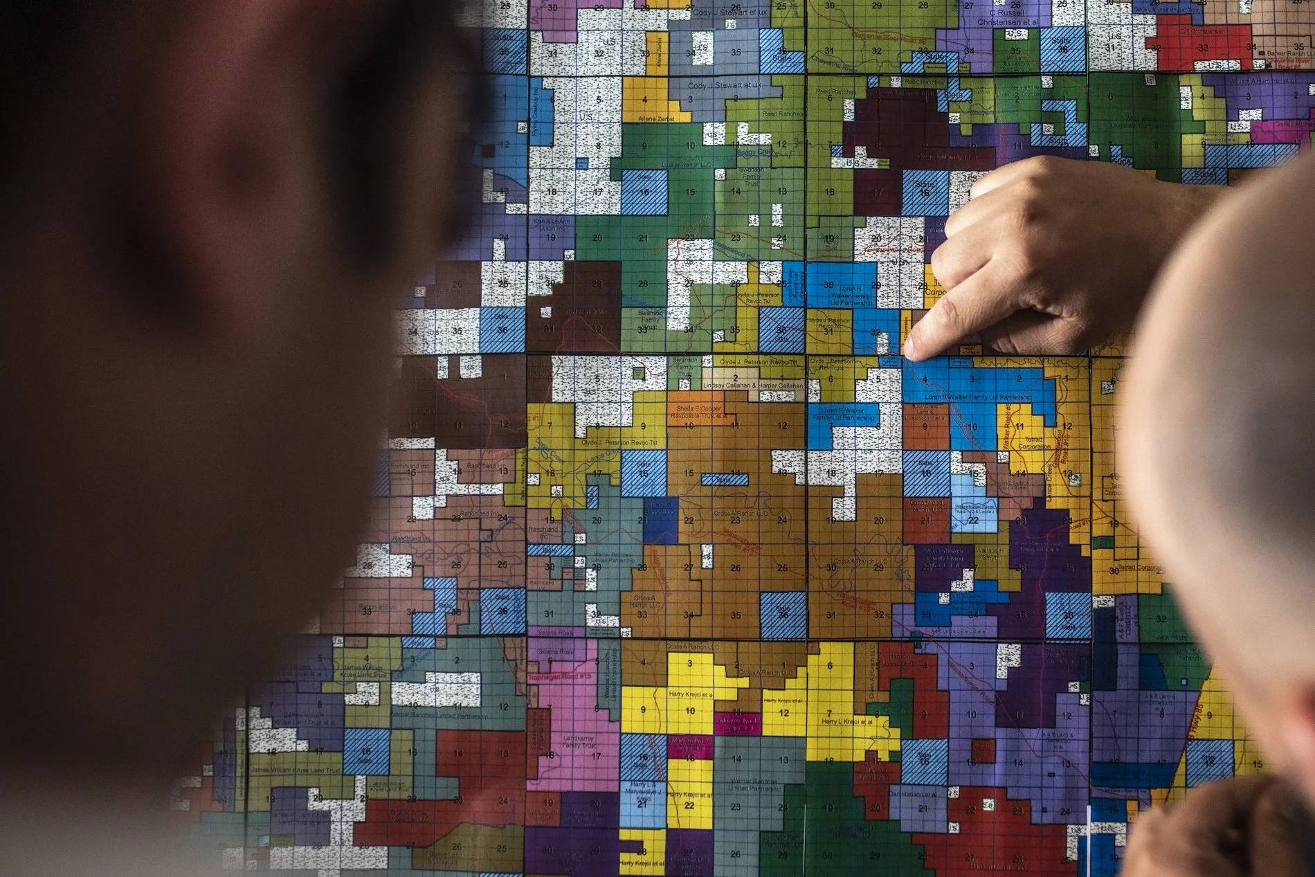 Dinoland, Dieuwertje Bravenboer-4.jpg